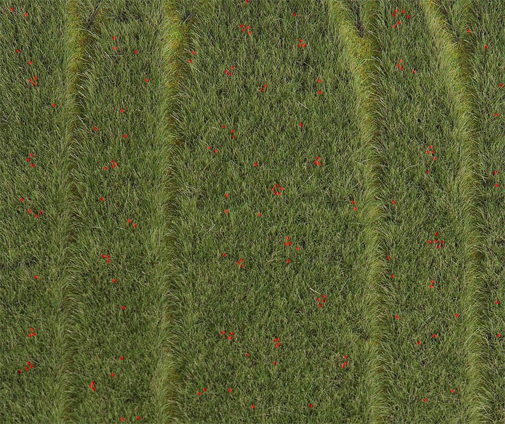 Faller Fieldturf Faller 180458 - PREMIUM Landscape segment, Grain-field with