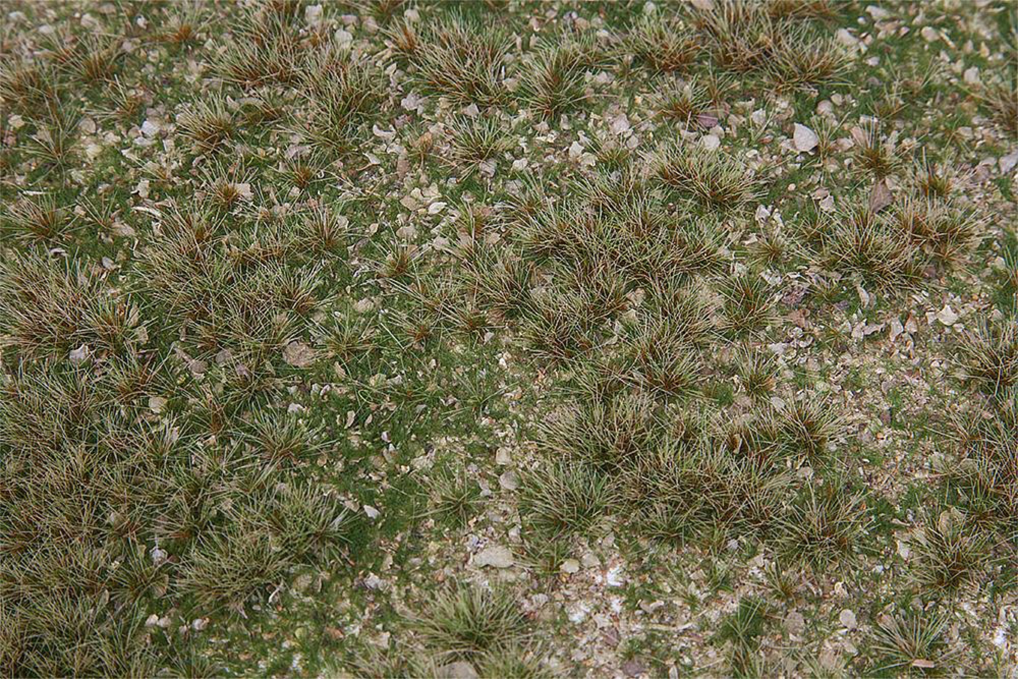 Faller Fieldturf Faller 180479 - PREMIUM Landscape segment, Field of wild