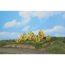 6 Forsythiensträucher 3-6 cm 