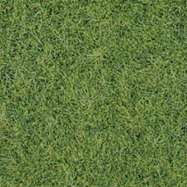 wild grass mat grassland / 40 x 