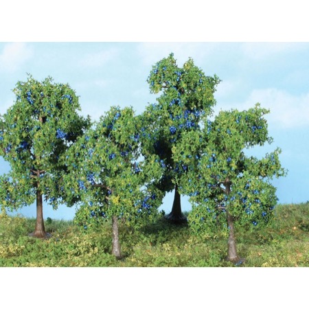 4 Zwetschgenbäume 6 + 9 cm 