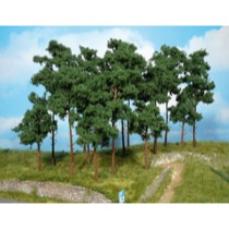 scots pine trees 10-16 cm / 9 