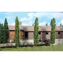 poplar trees 36 cm / 3 pc 