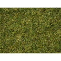 Græsblanding - Sommereng 2,5 - 6 mm 