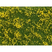 Groundcover Foliage meadow yellow 