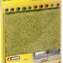 Natur+ "Rape Field 