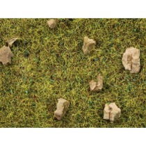 Strø græs - Stenet alpe eng, 2,5 mm 