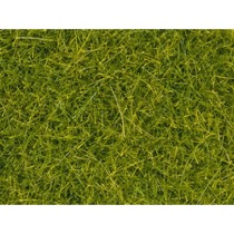 Scatter grass 