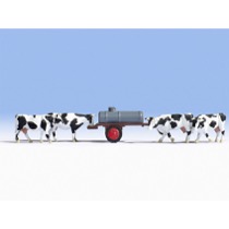 Cows at Water Trough 