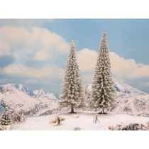 Snow Fir Trees 
