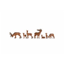 Deers 