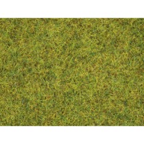 Strøgræs - Sommereng, 2,5 mm 