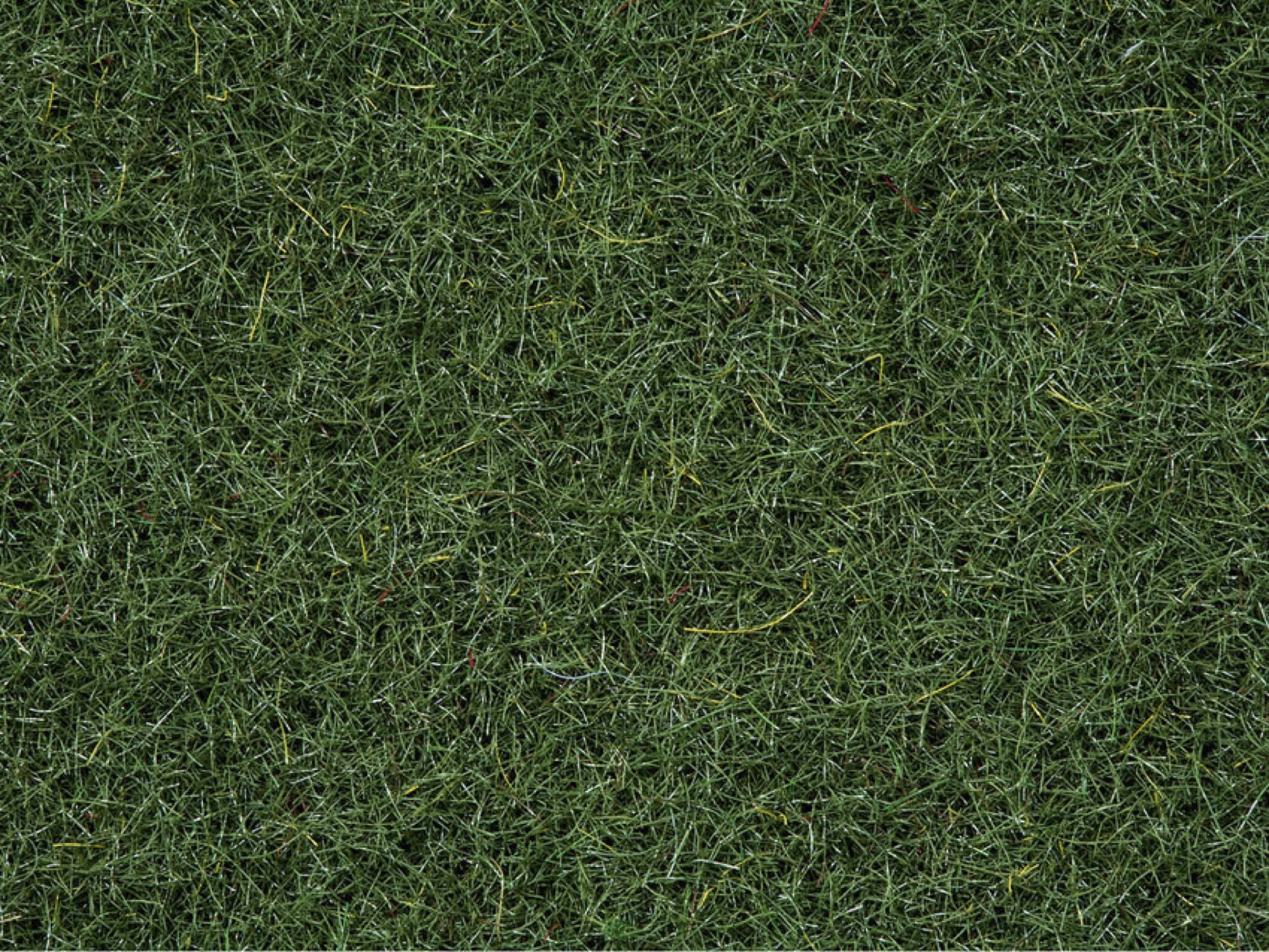 scatter-grass-marshy-soil-2-5-mm